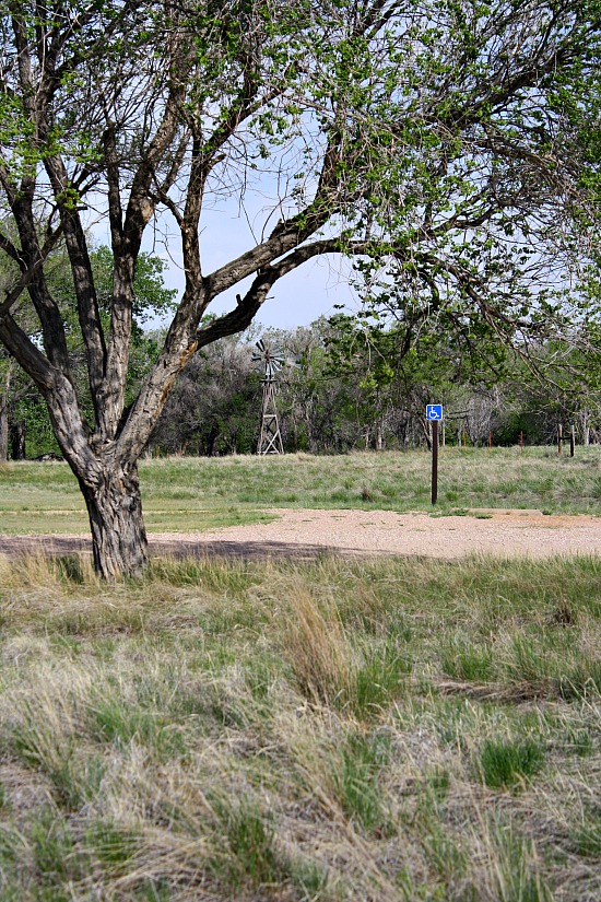 Birding Pawnee National Grasslands Cooking on The Ranch