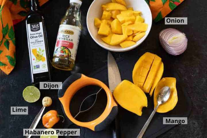 Ingredients to make mango dressing.