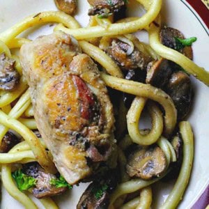 Chicken galliano with mushrooms served with bucatini pasta.