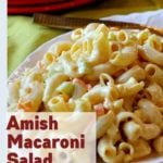 Dutch Amish Macaroni Salad Recipe