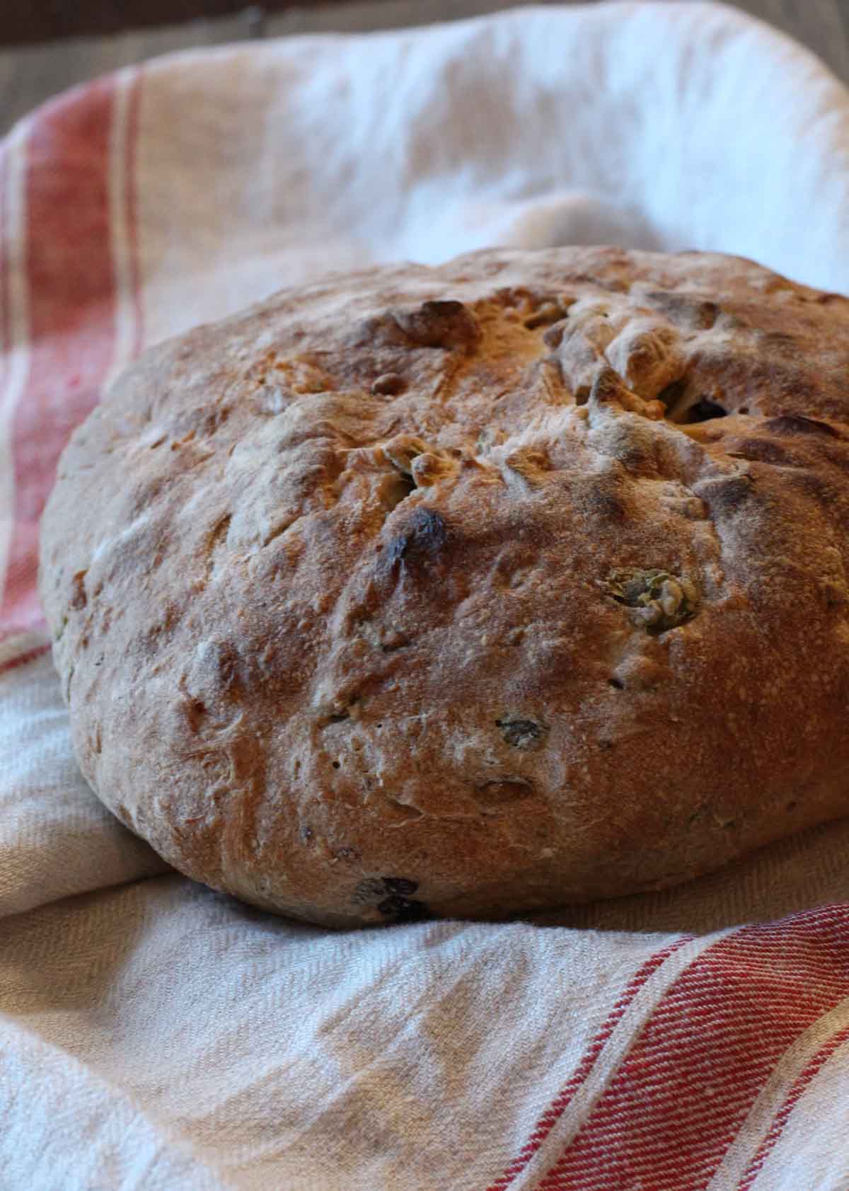 A loaf of homemade rosemary olive bread on a red striped towel.