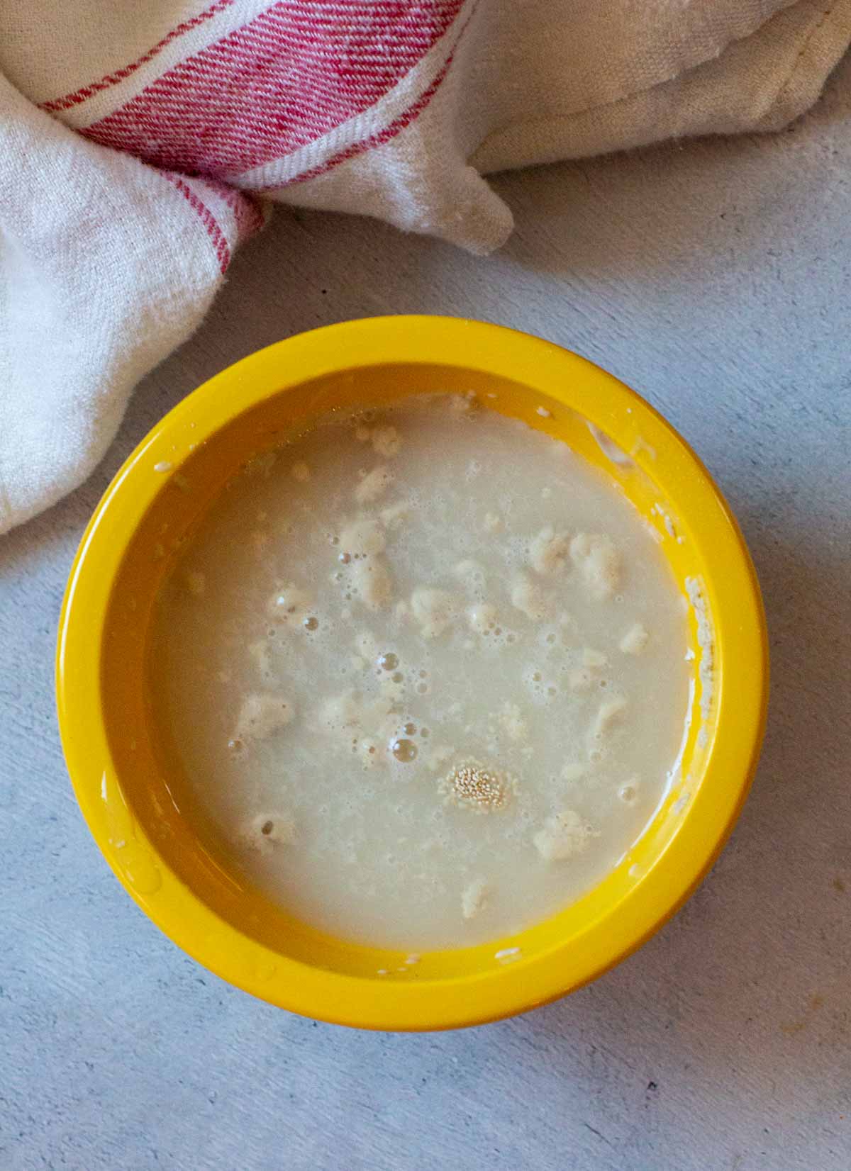 Bloomed yeast to make olive bread.