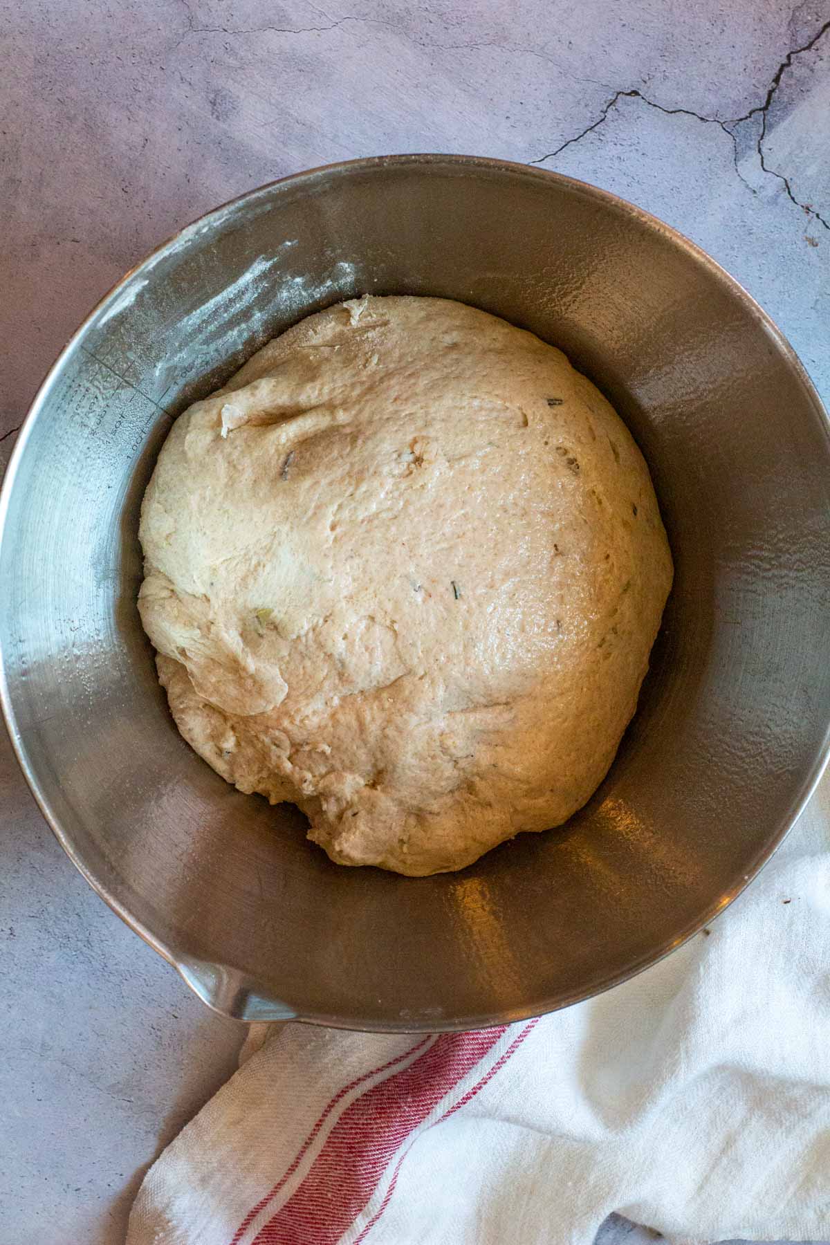 Olive bread dough ready to rise.