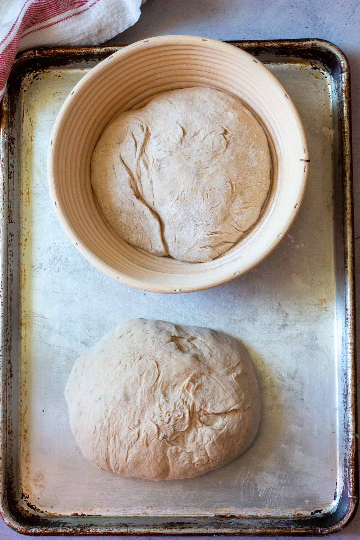 Olive bread shaped into a loaves and ready to bake.