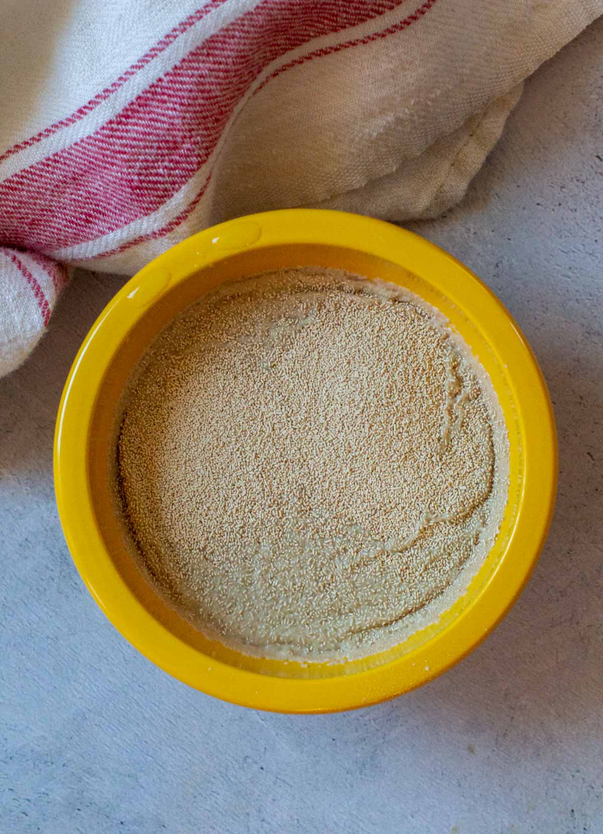 How to bloom yeast to make bread.