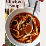 Instant Pot Mexican Chicken Soup