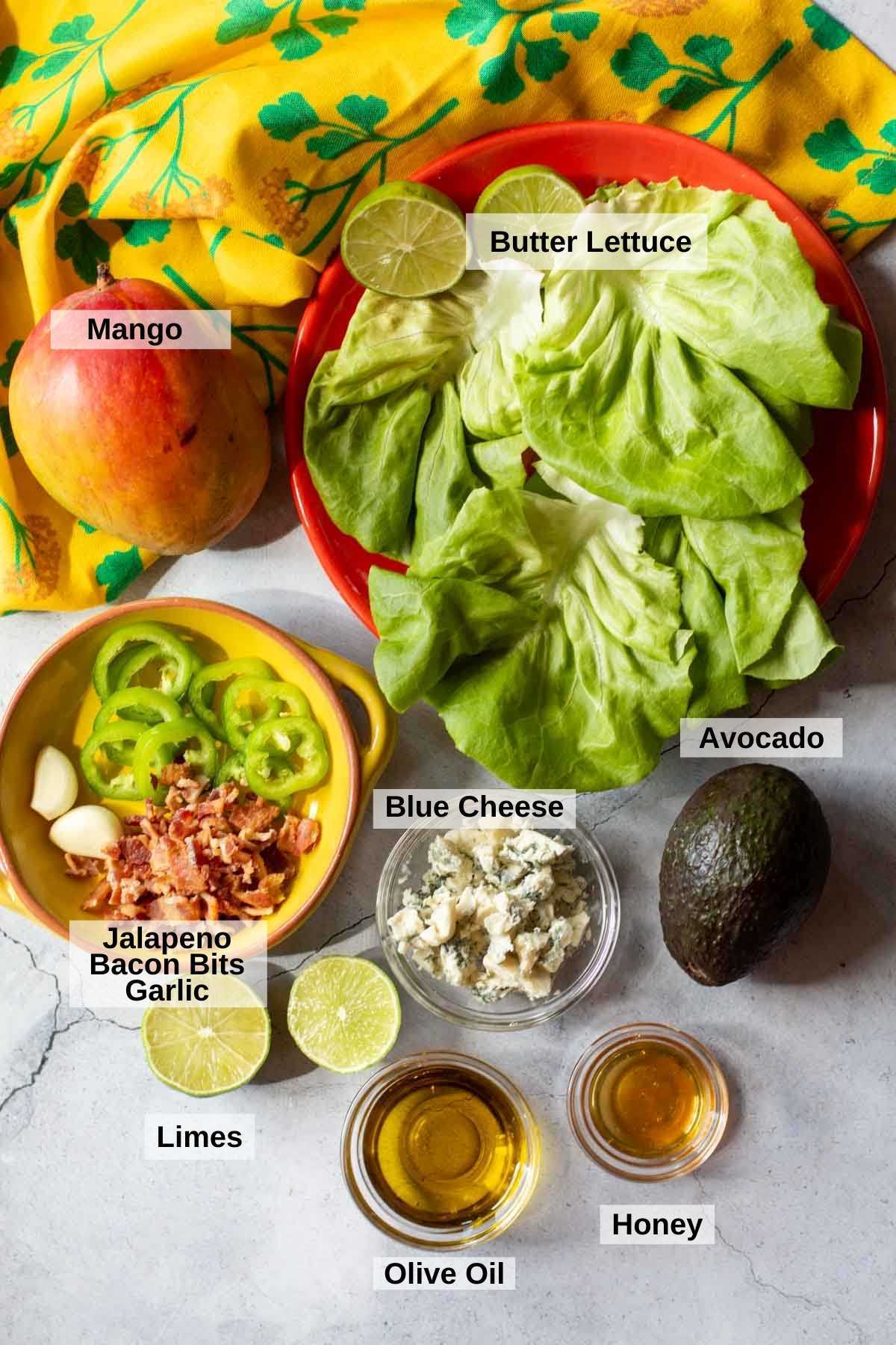 Ingredients to make avocado mango salad.