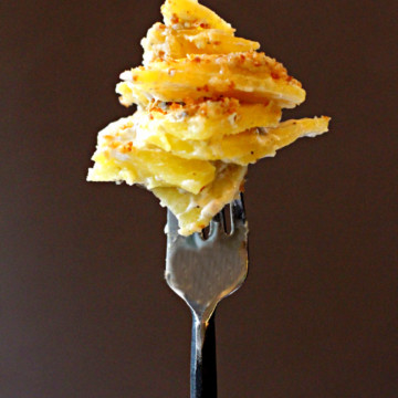 Potatoes Dauphinoise Potato Casserole with blue cheese. On a fork.