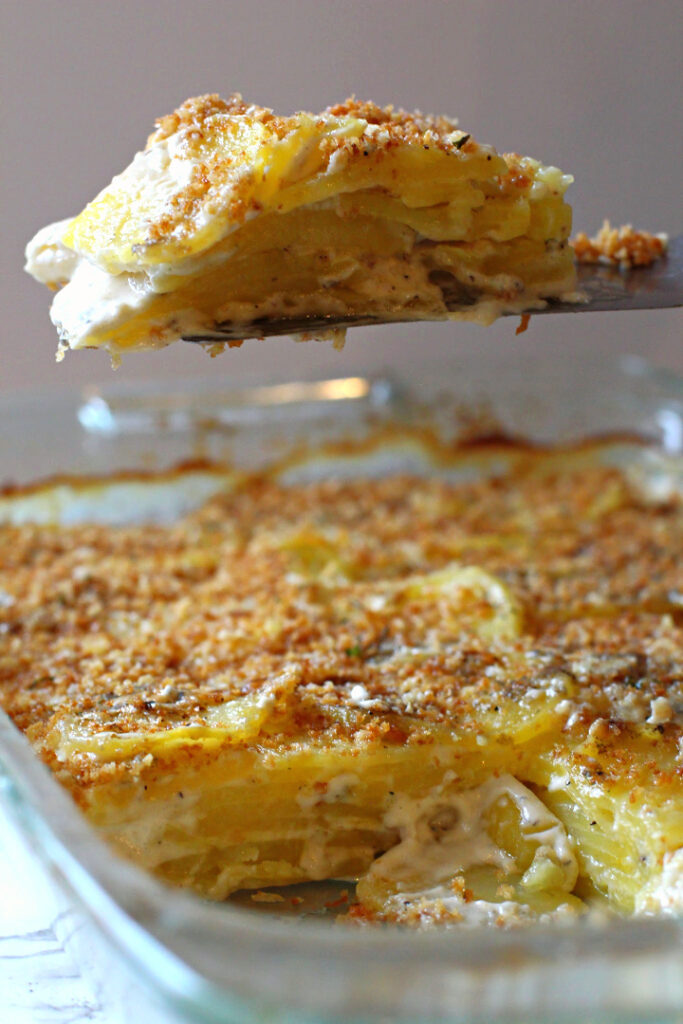 Blue Cheese Potato Casserole Topped with Panko Bread Crumbs.