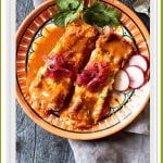 Cocninita Pibil Pulled Pork Enchiladas