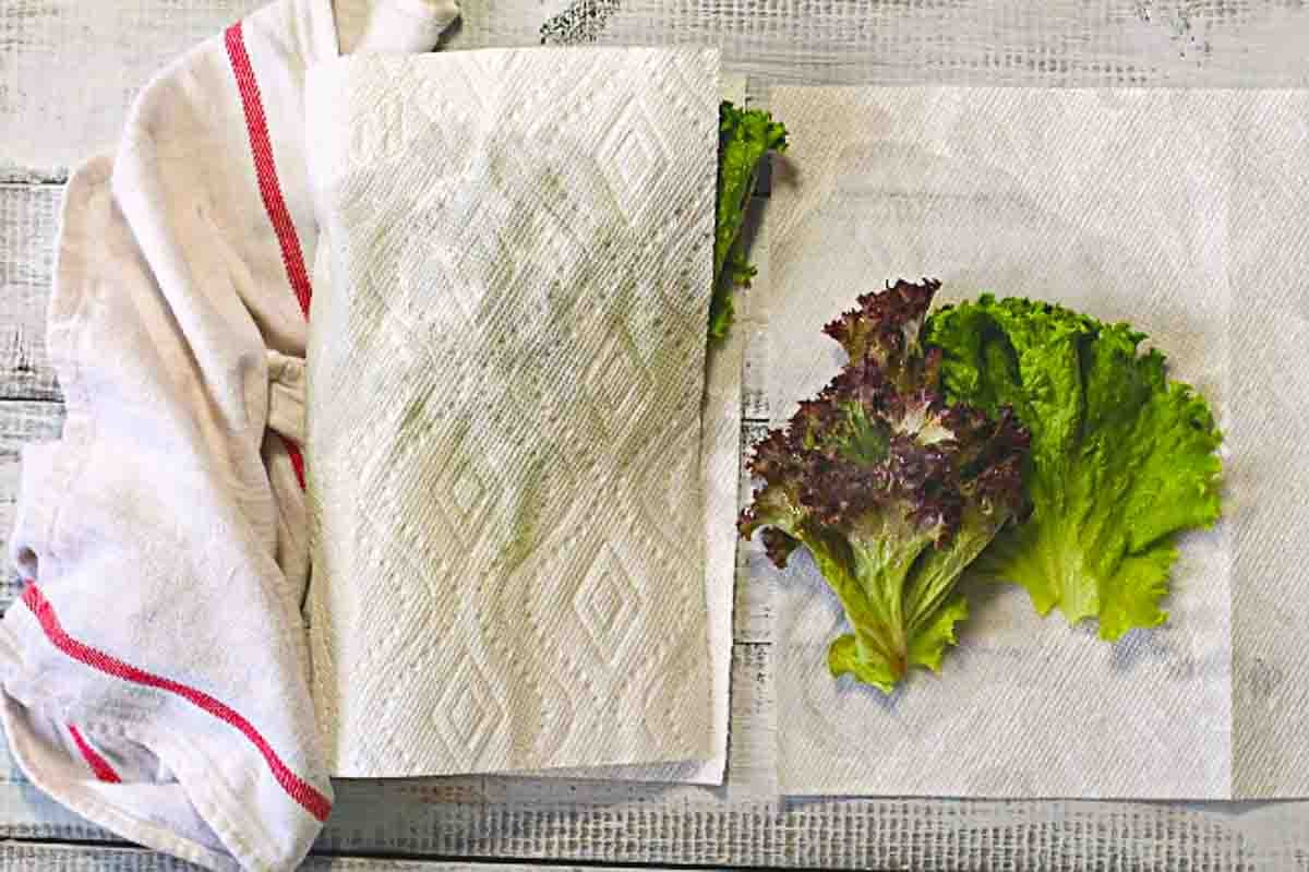 Drying lettuce leaves to make an accompaniment salad.