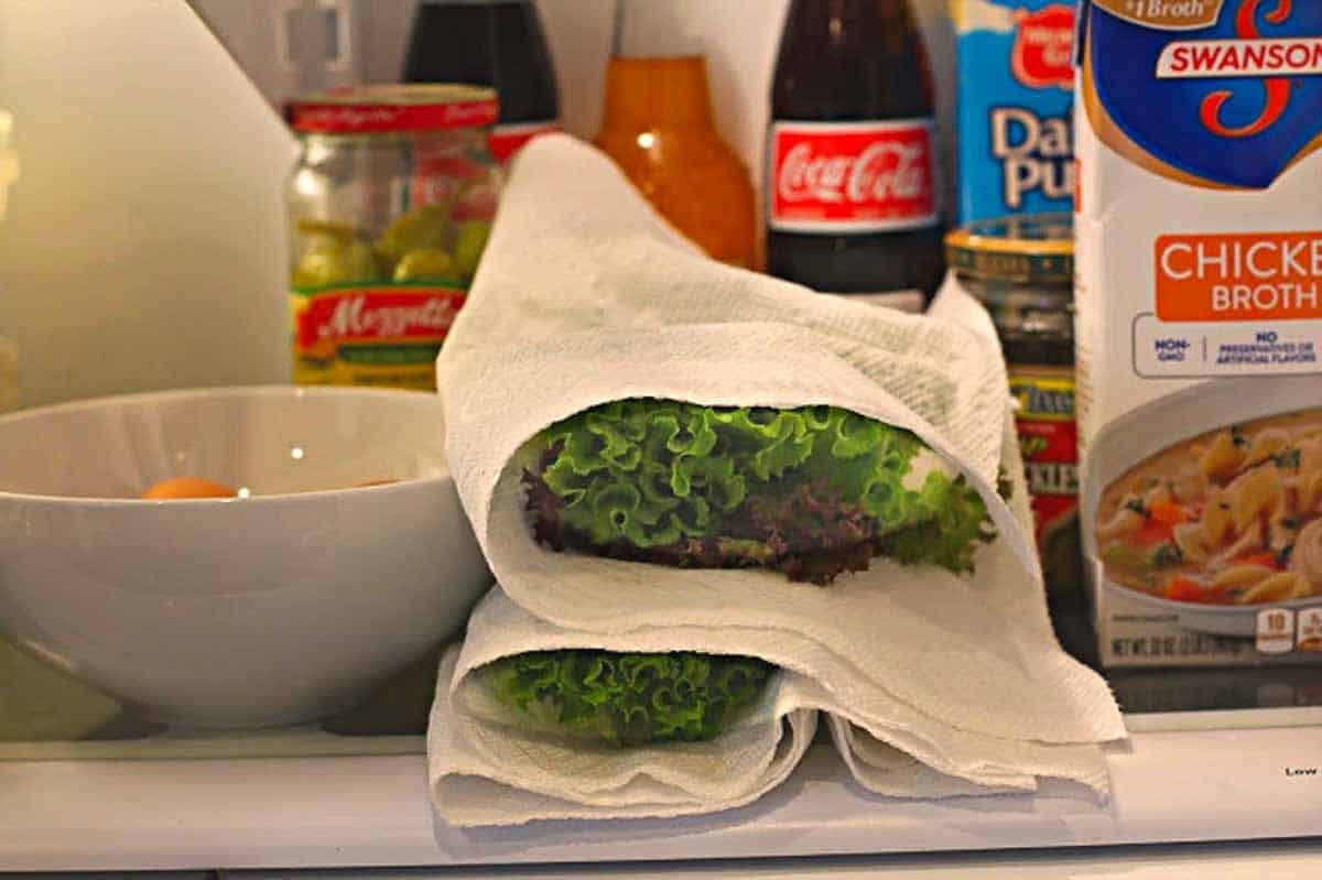 Storing lettuce leaves in the refrigerator for an accompaniment salad.