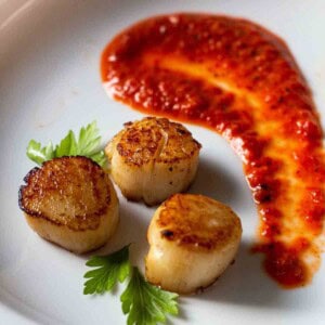 Roasted red bell pepper coulis served with seared scallops.