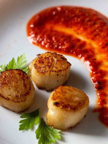 Roasted red bell pepper coulis served with seared scallops.