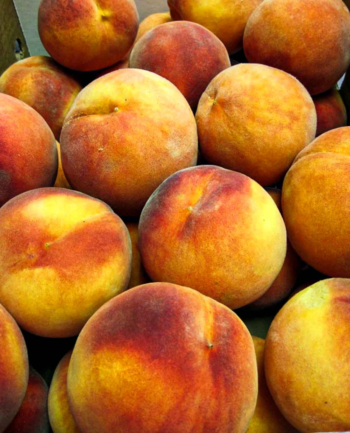 A case of fresh Colorado Palisade peaches.