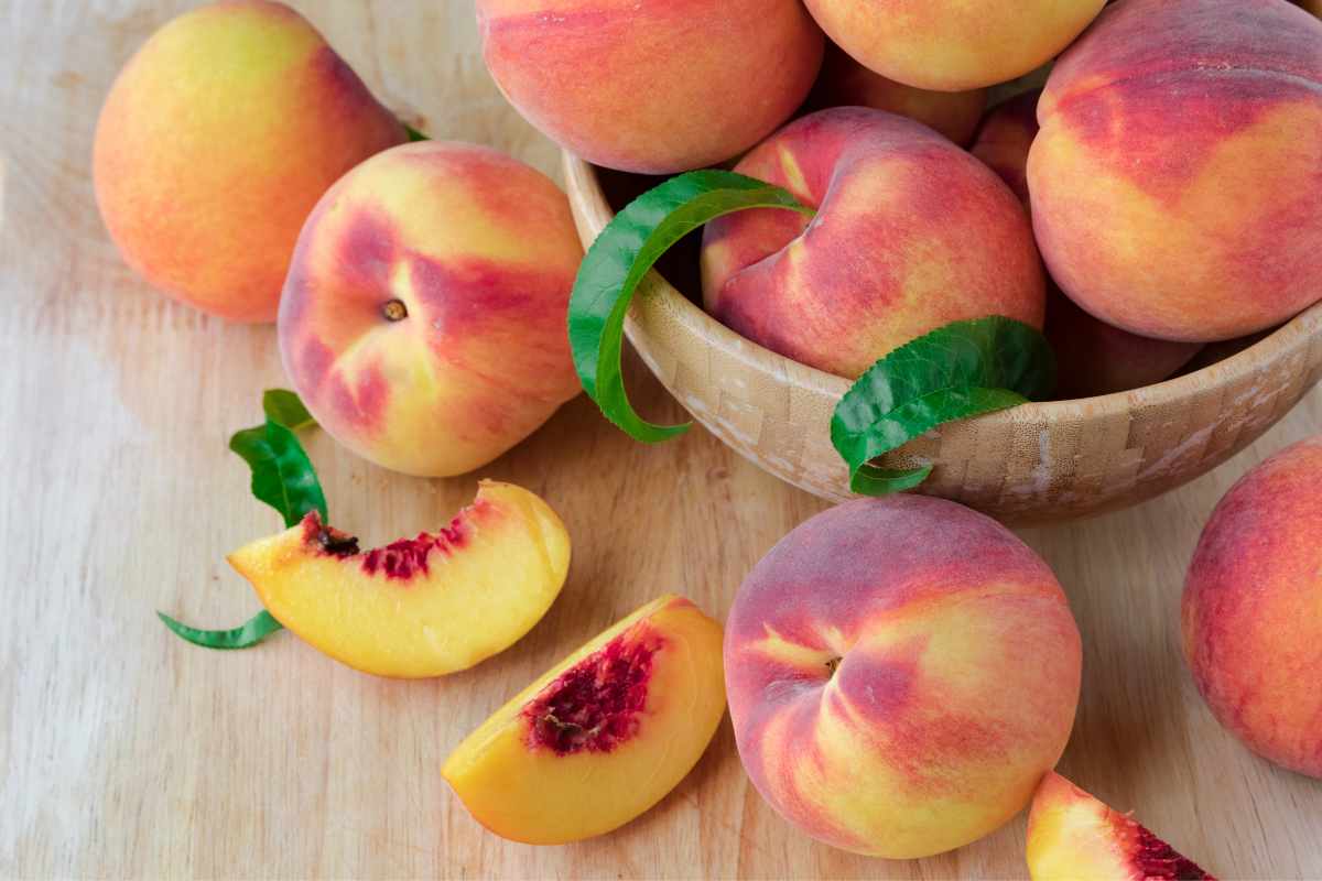 Ripe Palisade peaches in a bowl.