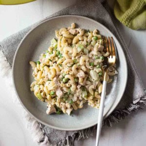 Chicken macaroni salad on a white plate.