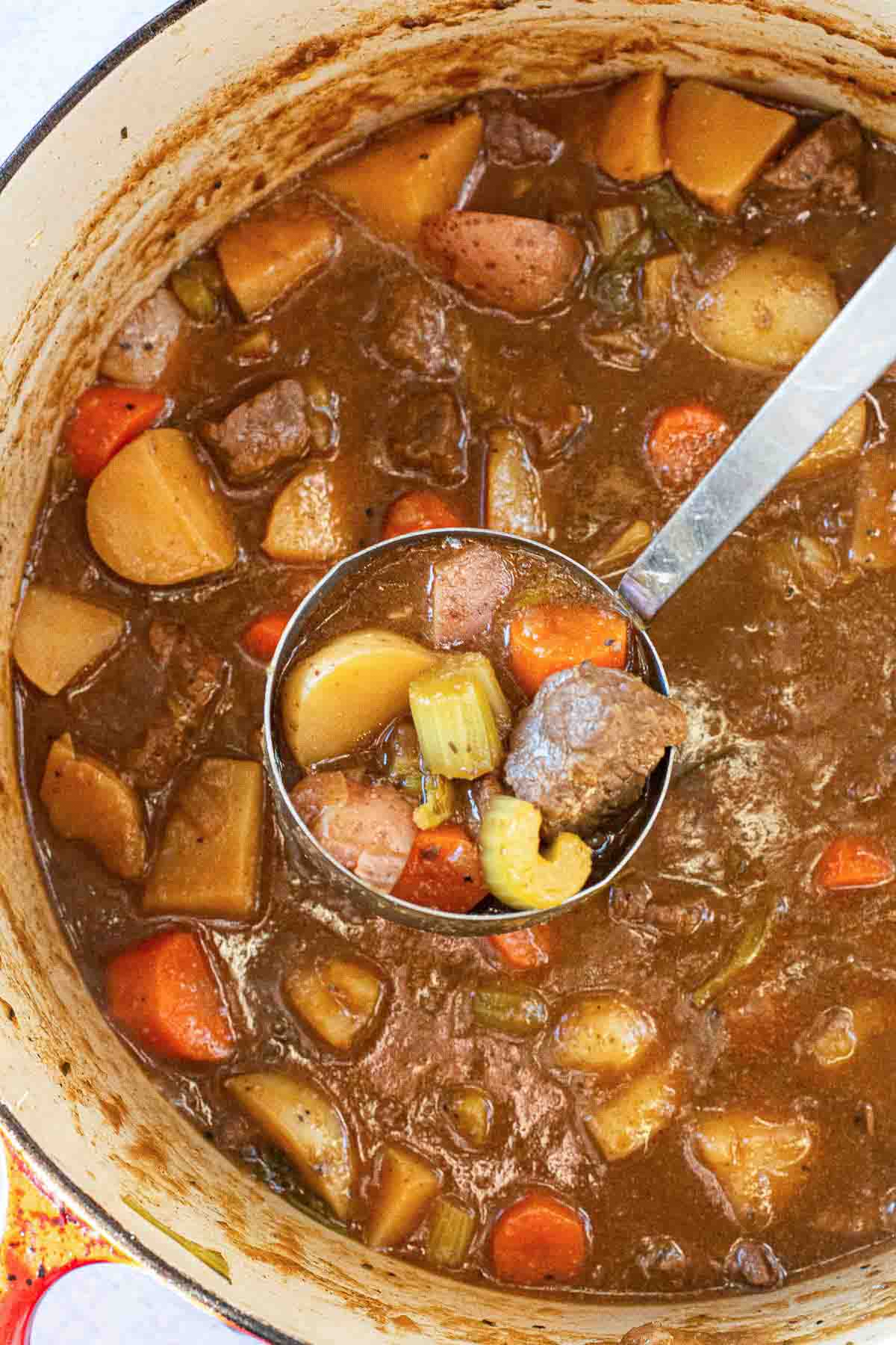 Bison stew in a Dutch oven.
