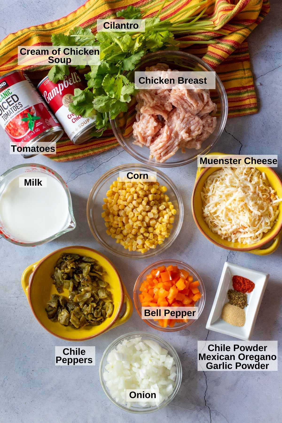 Ingredients to make southwestern chicken soup.